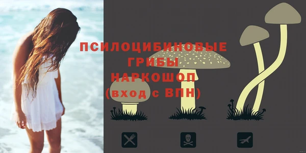 jwh Белая Холуница