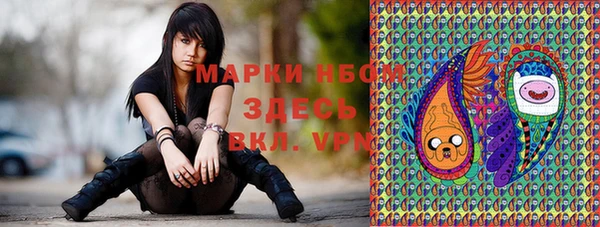 прущий лед Алзамай