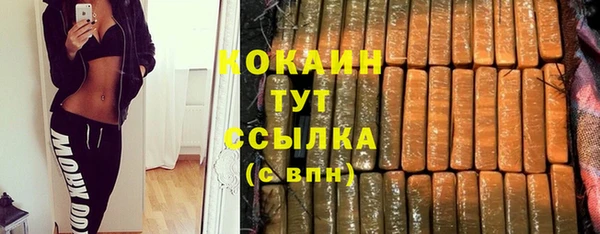 прущий лед Алзамай