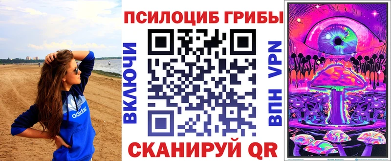 omg ссылки  Тула  Псилоцибиновые грибы MAGIC MUSHROOMS 